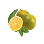 Laranja Pêra Kg
