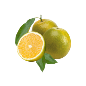 Laranja Pêra Kg