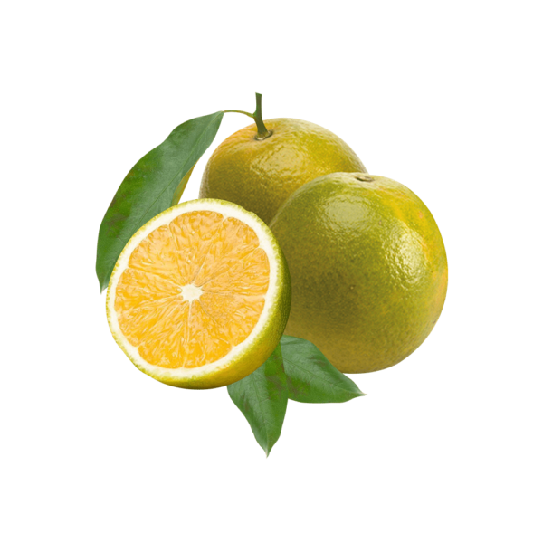 Laranja pera Laranja Pêra 2 Kg