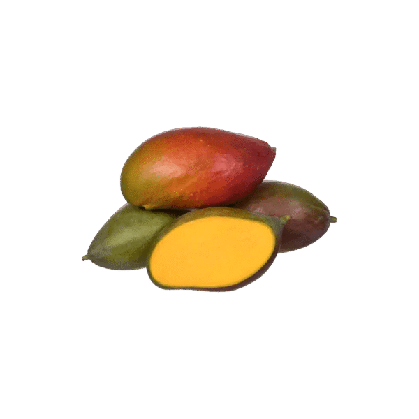 MANGA-PALMER Manga Palmer 1 Kg