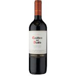 Vinho Fino Tinto Seco Concha y Toro Casillero del Diablo Carmenere 750ml