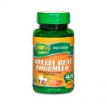 Vitamina Unilife Geléia Real Cogumelo 45 Capsulas