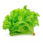 Alface Crespa - Unidade