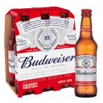 Cerveja Budweiser 330ml Pack com 6