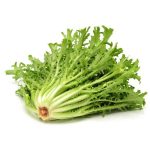 Escarola Un