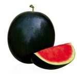 Melancia Baby Sem Semente KG