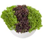 Trio Hidro Roxa, Agria e Crespa