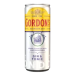 Bebida Alcoólica Mista Gin & Tonic Gordon's 269ml